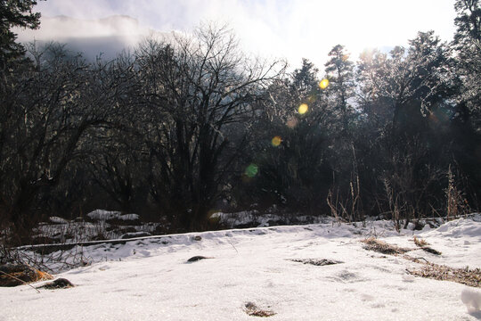 毕棚沟景区雪景