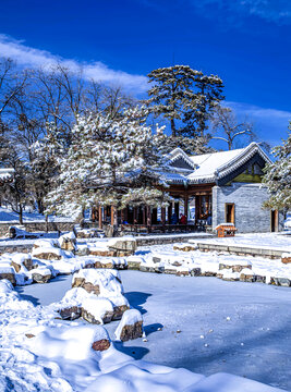 公园雪景