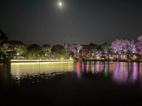 东湖夜景