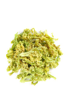 白底上的干花菜