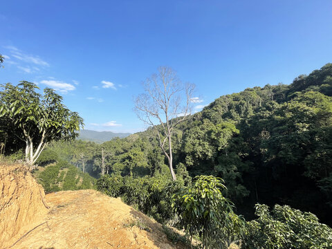 傣族风景