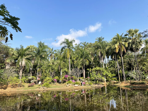 傣族风景