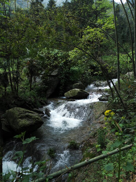 大山峡谷中的溪流