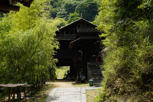 古村落竹林里的吊脚楼