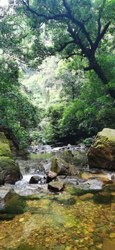 山溪流水