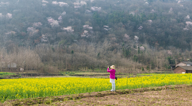 山花烂漫