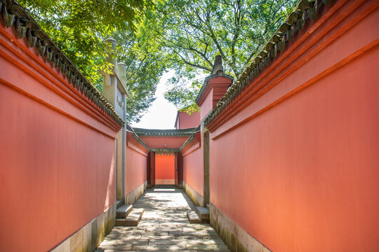 紅墻胡同