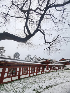 兴庆冬日雪景