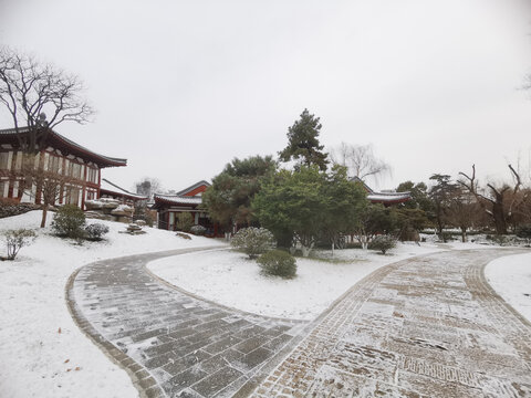 兴庆宫雪景