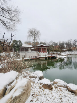 兴庆宫初雪