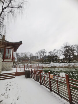 兴庆雪景