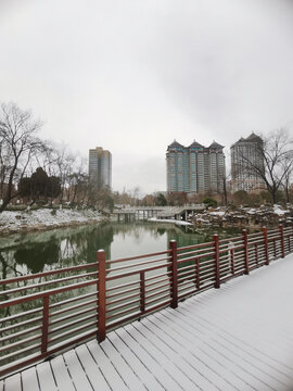 围栏观雪景