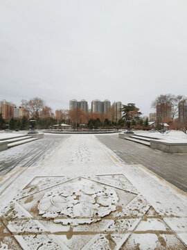 兴庆宫雪景