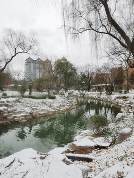 兴庆宫雪景