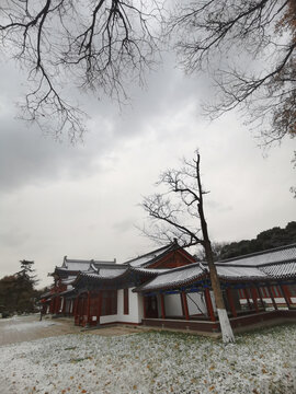 兴庆雪景