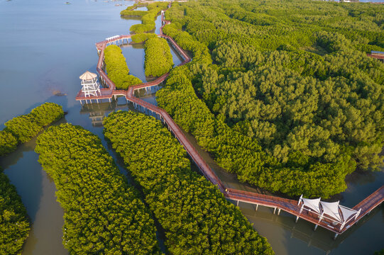 水东电白万亩红树林航拍