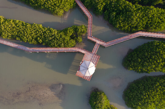 高空鸟瞰航拍水东电白红树林