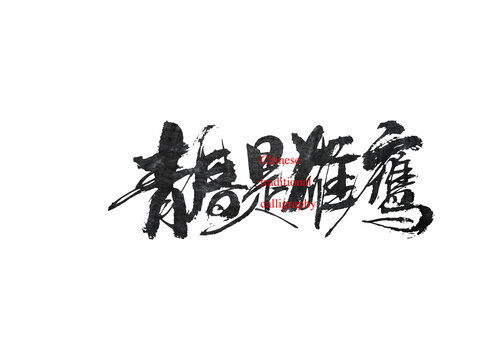青春是雄鷹