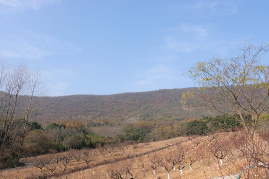 深山秋景