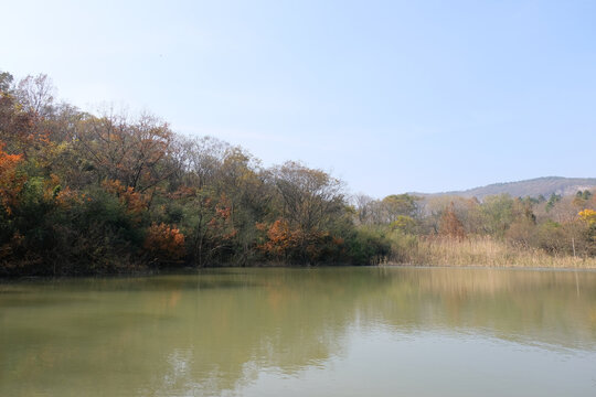 山泉水库