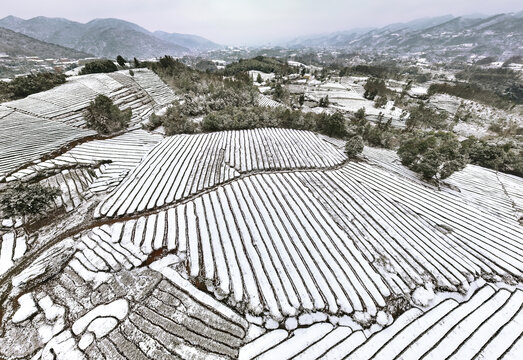 山乡雪景