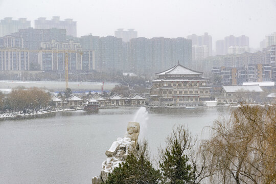 曲江池雪景