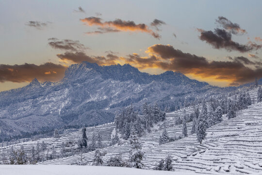 四川宜宾珙县永兴茶场雪景