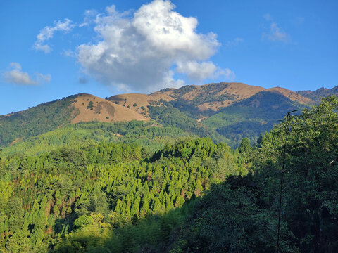 高山流云