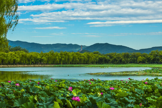 北京颐和园夏日风光