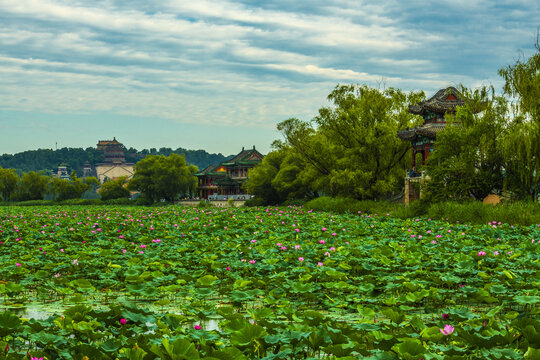 北京颐和园夏日风光