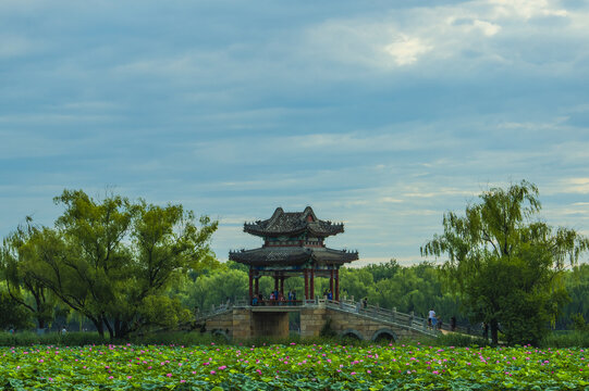 北京颐和园夏日风光