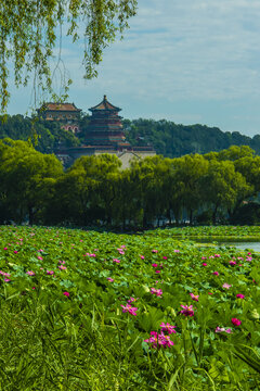 北京颐和园夏日风光