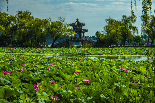 北京颐和园夏日风光