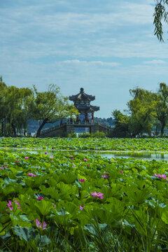 北京颐和园夏日风光