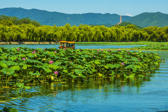 北京颐和园夏日风光