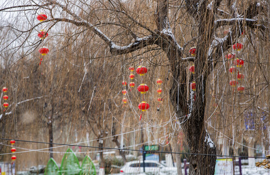 春节雪景