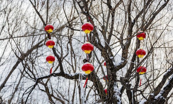 春节雪景