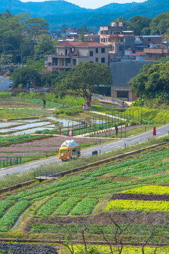 从化天人山水大地艺术园景区