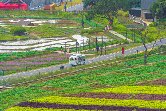 从化天人山水大地艺术园景区