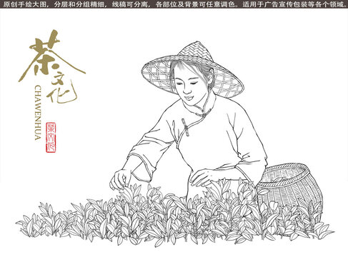 采茶女插畫線描版