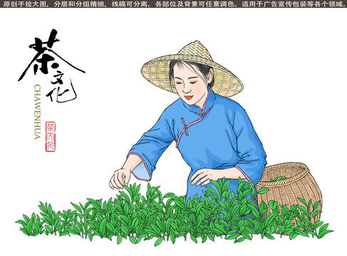 采茶女插画