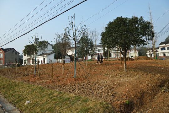 美丽乡村建设节点