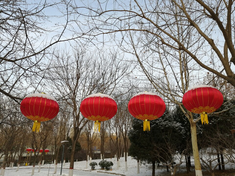 雪后大红灯笼