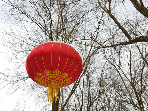 雪后大红灯笼