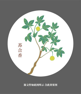 蘇合香