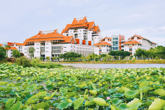 厦门大学嘉庚学院