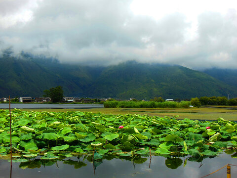 大理西湖