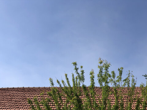 屋顶蓝天