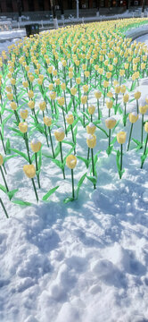 雪地上的人造花