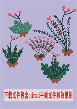 野花植物鮮花各種鮮花